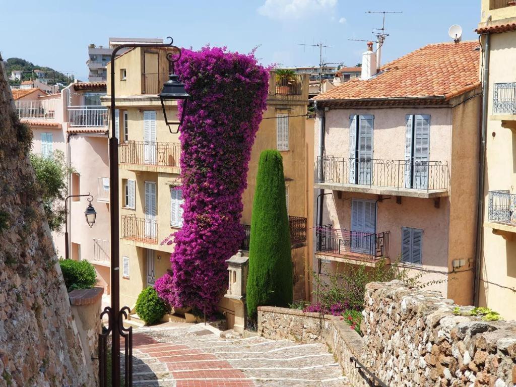 Hyper Centre Cannes - Plages Et Palais 5Min A Pied מראה חיצוני תמונה